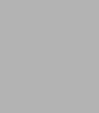 Apo Grey Security Door Colour