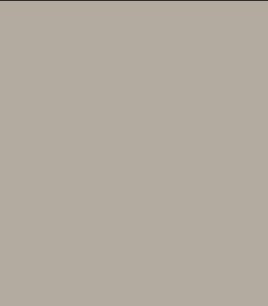 Dune Security Door Colour