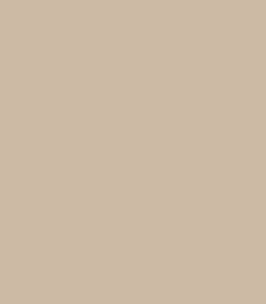 Paperbark Security Door Colour