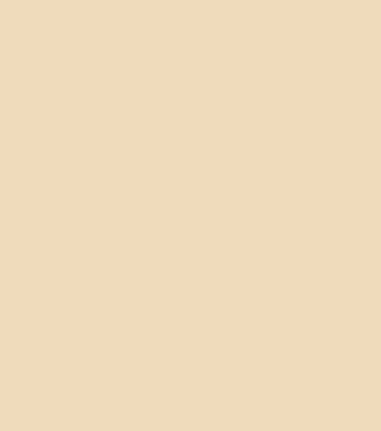 Primrose Security Door Colour