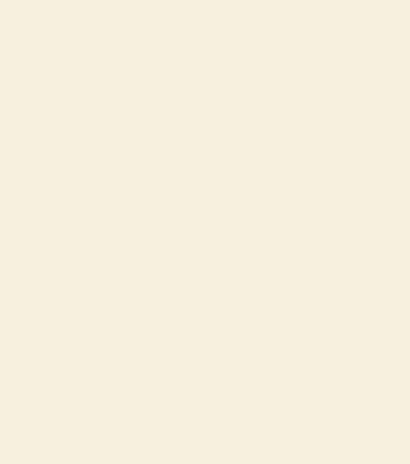 White Birch Security Door Colour